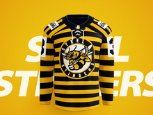 Steel Stingers Jersey (WPIHL PGH Draft)
