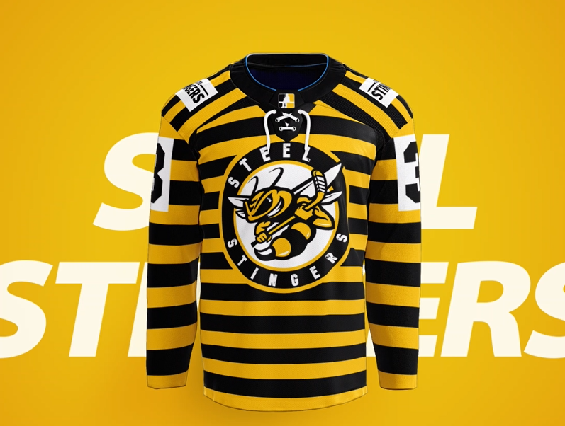 Steel Stingers Jersey (WPIHL PGH Draft)