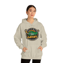 Gateway Devo Unisex Heavy Blend™ Hooded Sweatshirt