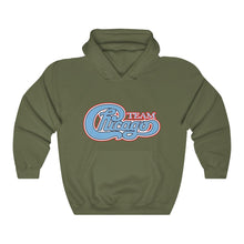 Unisex Heavy Blend™ Hooded Sweatshirt 17 COLOR - CHICAGO