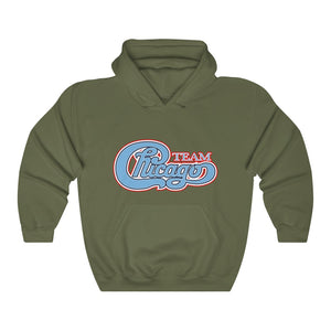 Unisex Heavy Blend™ Hooded Sweatshirt 17 COLOR - CHICAGO