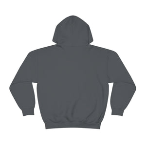 Ospreys Fan Gear Hoodie