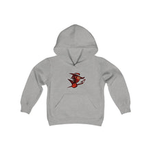 Youth Heavy Blend Hooded Sweatshirt - Outlaws