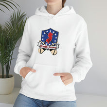 SJ HURLING  Unisex Heavy Blend™ Hooded Sweatshirt