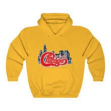 Unisex Heavy Blend™ Hooded Sweatshirt 17 COLOR - CHICAGO