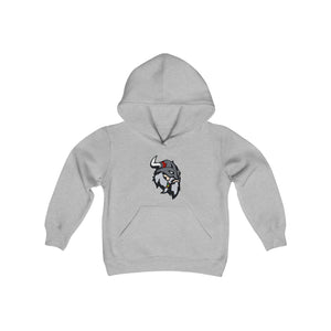 Fitchburg Raiders Youth Heavy Blend Hooded Sweatshirt