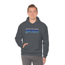 Ospreys Fan Gear Hoodie