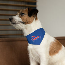 Pet Bandana Collar - JUNCTION BODY