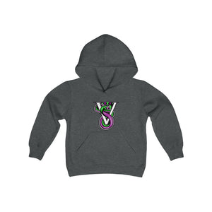 Youth Heavy Blend Hooded Sweatshirt (16 colors) - Vipers