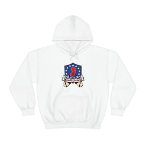 SJ HURLING  Unisex Heavy Blend™ Hooded Sweatshirt