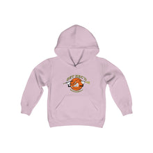 Youth Heavy Blend Hooded Sweatshirt - 12 COLOR- GET REC'D