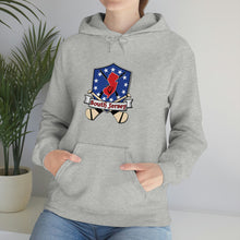 SJ HURLING  Unisex Heavy Blend™ Hooded Sweatshirt