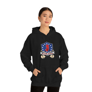 SJ HURLING  Unisex Heavy Blend™ Hooded Sweatshirt