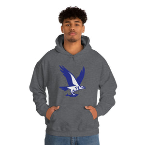 Ospreys Unisex Heavy Blend™ Hooded Sweatshirt