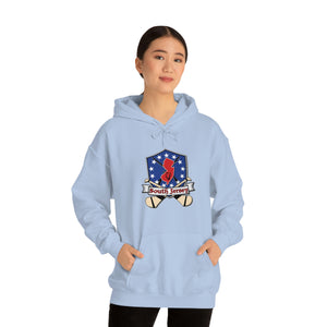 SJ HURLING  Unisex Heavy Blend™ Hooded Sweatshirt