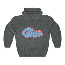 Unisex Heavy Blend™ Hooded Sweatshirt 17 COLOR - CHICAGO