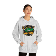 Gateway Devo Unisex Heavy Blend™ Hooded Sweatshirt