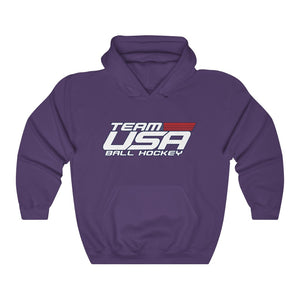 Hooded Sweatshirt - (12 colors available) USDHF_2