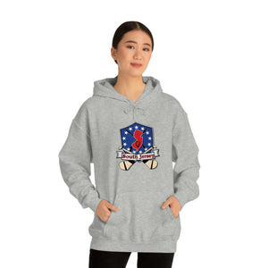 SJ HURLING  Unisex Heavy Blend™ Hooded Sweatshirt