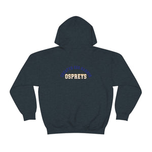 Ospreys Unisex Heavy Blend™ Hooded Sweatshirt