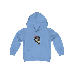 Fitchburg Raiders Youth Heavy Blend Hooded Sweatshirt