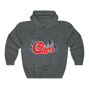 Unisex Heavy Blend™ Hooded Sweatshirt 17 COLOR - CHICAGO