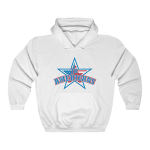 Unisex Heavy Blend™ Hooded Sweatshirt 12 COLORS - Americans Jr 2