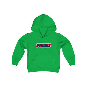 Youth Heavy Blend Hooded Sweatshirt - 12 COLOR- PRIDES