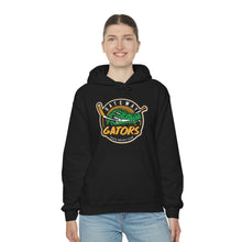 Gateway Devo Unisex Heavy Blend™ Hooded Sweatshirt