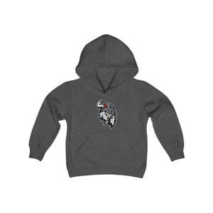 Fitchburg Raiders Youth Heavy Blend Hooded Sweatshirt