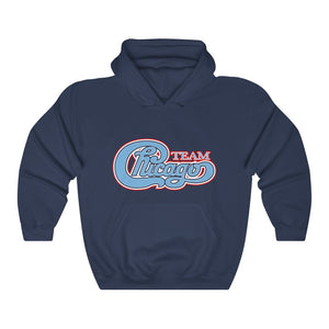 Unisex Heavy Blend™ Hooded Sweatshirt 17 COLOR - CHICAGO