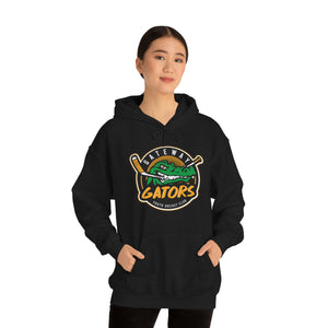 Gateway Devo Unisex Heavy Blend™ Hooded Sweatshirt