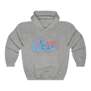 Unisex Heavy Blend™ Hooded Sweatshirt 17 COLOR - CHICAGO