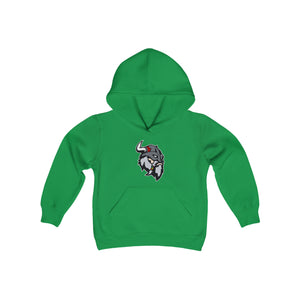 Fitchburg Raiders Youth Heavy Blend Hooded Sweatshirt