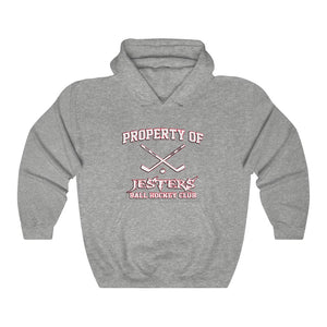 Hooded Sweatshirt - (12 colors available) - JESTERS