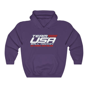 Hooded Sweatshirt - (12 colors available) USDHF_U20