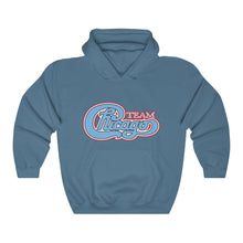 Unisex Heavy Blend™ Hooded Sweatshirt 17 COLOR - CHICAGO