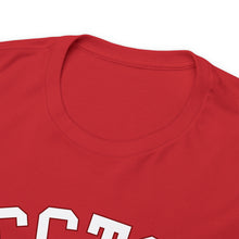 Unisex Heavy Cotton Tee -  CCTS