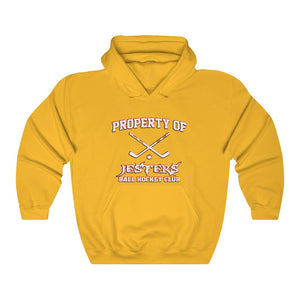 Hooded Sweatshirt - (12 colors available) - JESTERS