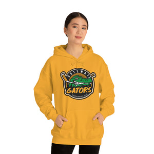 Gateway Devo Unisex Heavy Blend™ Hooded Sweatshirt