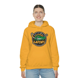 Gateway Devo Unisex Heavy Blend™ Hooded Sweatshirt