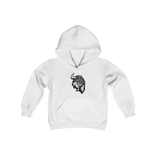 Fitchburg Raiders Youth Heavy Blend Hooded Sweatshirt